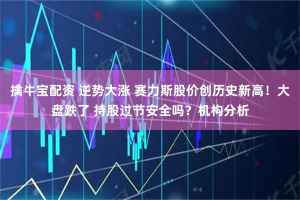 擒牛宝配资 逆势大涨 赛力斯股价创历史新高！大盘跌了 持股过节安全吗？机构分析