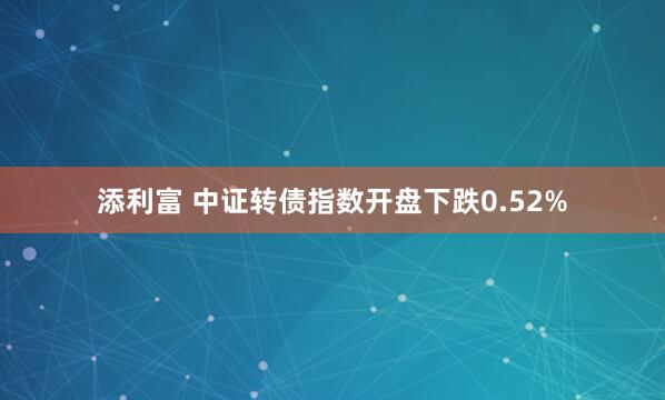添利富 中证转债指数开盘下跌0.52%