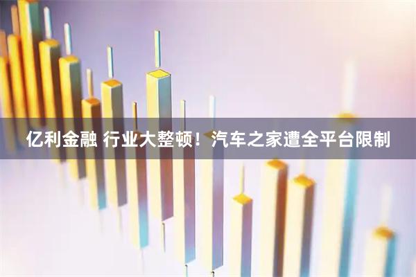 亿利金融 行业大整顿！汽车之家遭全平台限制