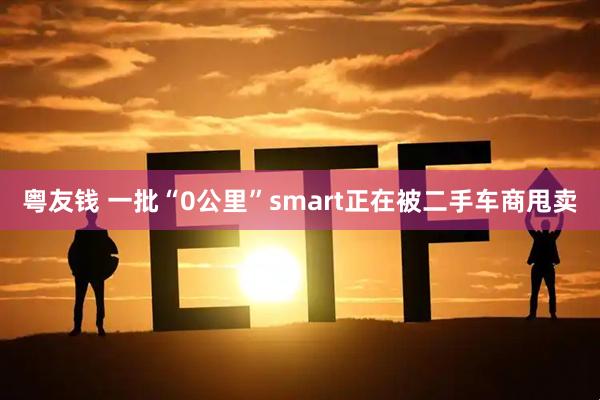 粤友钱 一批“0公里”smart正在被二手车商甩卖