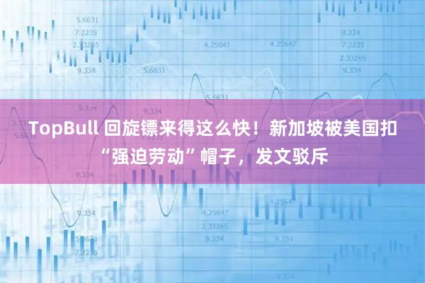TopBull 回旋镖来得这么快！新加坡被美国扣“强迫劳动”帽子，发文驳斥