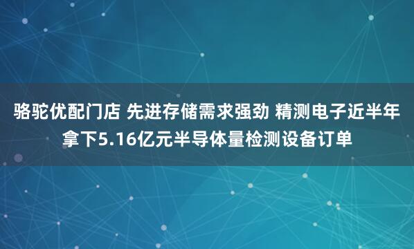 骆驼优配门店 先进存储需求强劲 精测电子近半年拿下5.16亿元半导体量检测设备订单