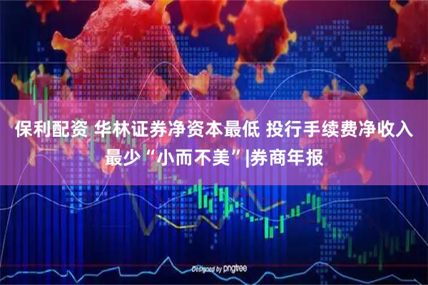 保利配资 华林证券净资本最低 投行手续费净收入最少“小而不美”|券商年报