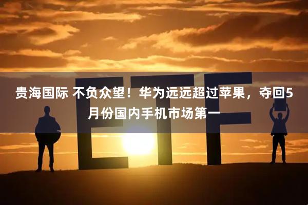 贵海国际 不负众望！华为远远超过苹果，夺回5月份国内手机市场第一