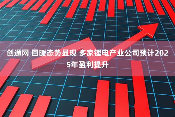 创通网 回暖态势显现 多家锂电产业公司预计2025年盈利提升
